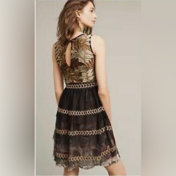 Beautiful Anthropologie Varun Bahl dress - Picture 2 of 6